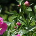 Nachts in Schloss Veitshöchheim