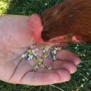 Im Urlaub geht’s diesmal hochhinaus!